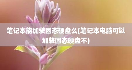 笔记本能加装固态硬盘么(笔记本电脑可以加装固态硬盘不)