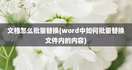 文档怎么批量替换(word中如何批量替换文件内的内容)