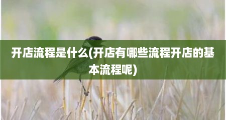 开店流程是什么(开店有哪些流程开店的基本流程呢)