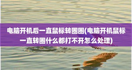 电脑开机后一直鼠标转圈圈(电脑开机鼠标一直转圈什么都打不开怎么处理)
