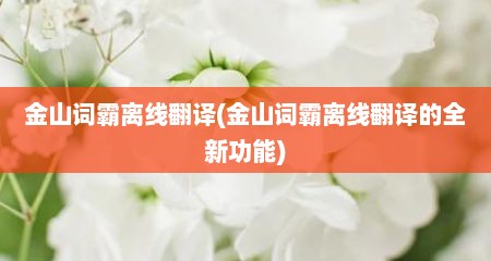 金山词霸离线翻译(金山词霸离线翻译的全新功能)