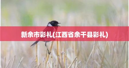 新余市彩礼(江西省余干县彩礼)