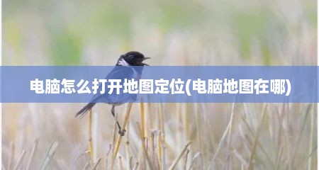 电脑怎么打开地图定位(电脑地图在哪)