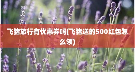 飞猪旅行有优惠券吗(飞猪送的500红包怎么领)