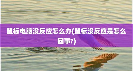 鼠标电脑没反应怎么办(鼠标没反应是怎么回事?)
