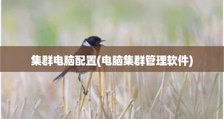 集群电脑配置(电脑集群管理软件)