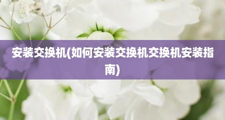 安装交换机(茹何安装交换机交换机安装指南)