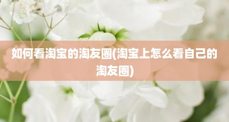 如何看淘宝的淘友圈(淘宝上怎么看自己的淘友圈)