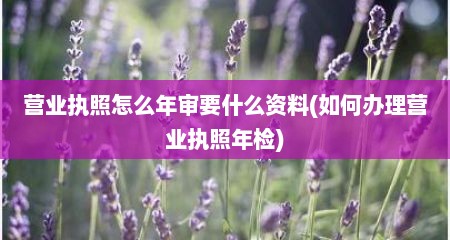 营业执照怎么年审要什么资料(如何办理营业执照年检)