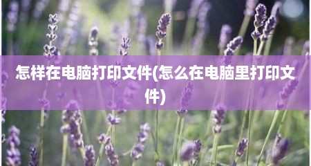 怎样在电脑打印文件(怎么在电脑里打印文件)
