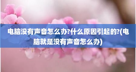 电脑没有声音怎么办?什么原因引起的?(电脑就是没有声音怎么办)