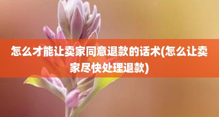 怎么才能让卖家同意退款的话术(怎么让卖家尽快处理退款)