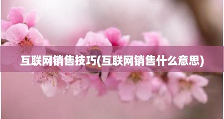 互联网销售技巧(互联网销售什么意思)