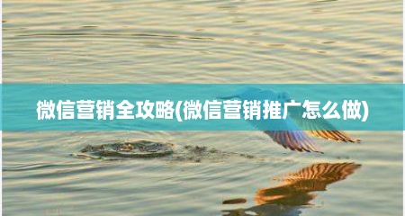 微信营销全攻略(微信营销推广怎么做)