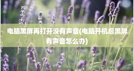 电脑黑屏再打开没有声音(电脑开机后黑屏有声音怎么办)
