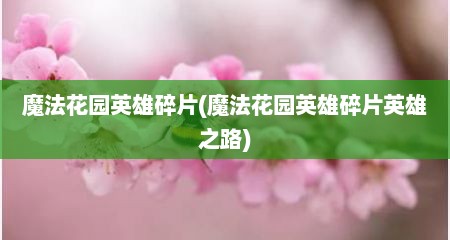 魔法花园英雄碎片(魔法花园英雄碎片英雄之路)