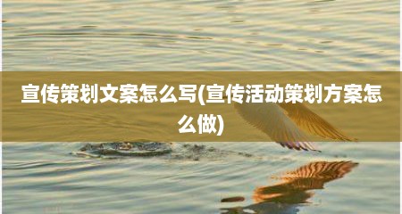 宣传策划文案怎么写(宣传活动策划方案怎么做)