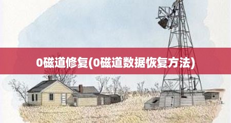 0磁道修复(0磁道数据恢复方法)