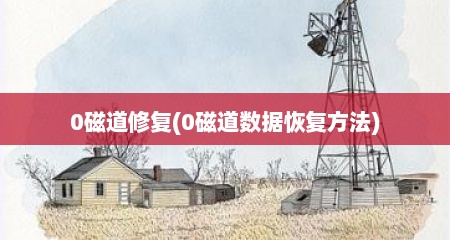 0磁道修复(0磁道数居恢复方法)