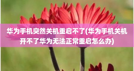 华为手机突然关机重启不了(华为手机关机开不了华为无法正常重启怎么办)