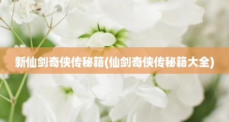 新仙剑奇侠传秘籍(仙剑奇侠传秘籍大全)