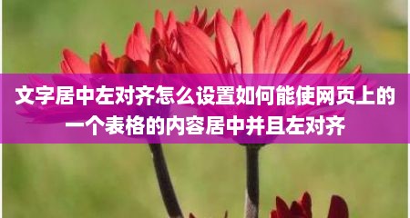 文字居中左对齐怎么设置如何能使网页上的一个表格的内容居中并且左对齐