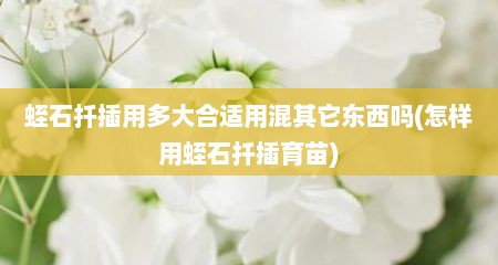 蛭石扦插用多大合适用混其它东西吗(怎样用蛭石扦插育苗)