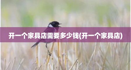 开一个家具店需要多少钱(开一个家具店)