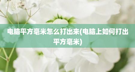 电脑平方毫米怎么打出来(电脑上如何打出平方毫米)