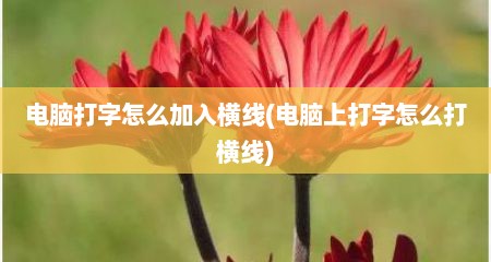 电脑打字怎么加入横线(电脑上打字怎么打横线)