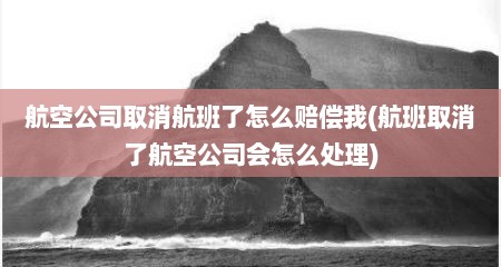航空公司取消航班了怎么赔偿我(航班取消了航空公司会怎么处理)