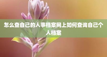 怎么查自己的人事档案网上如何查询自己个人档案