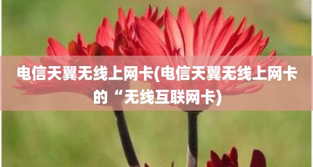 电信天翼无线上网卡(电信天翼无线上网卡的“无线互联网卡)