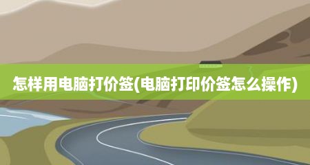 怎样用电脑打价签(电脑打印价签怎么操作)