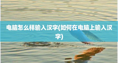 电脑怎么样输入汉字(如何在电脑上输入汉字)
