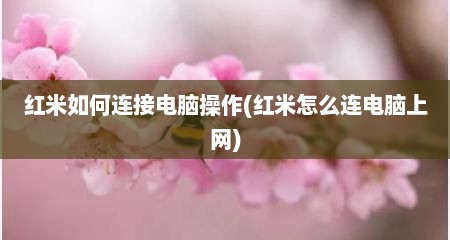 红米如何连接电脑操作(红米怎么连电脑上网)