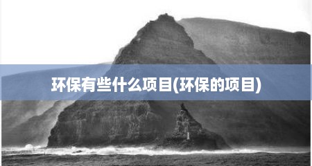 环保有些什么项目(环保的项目)