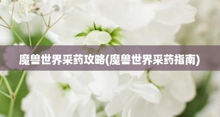 魔兽世界采药攻略(魔兽世界采药指南)