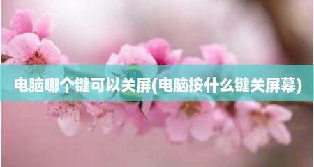 电脑哪个键可以关屏(电脑按什么键关屏幕)