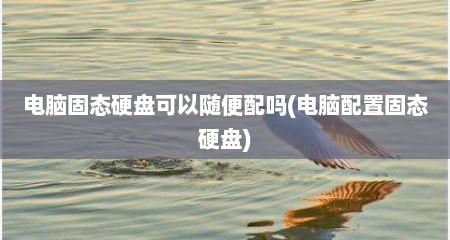 电脑固态硬盘可以随便配吗(电脑配置固态硬盘)