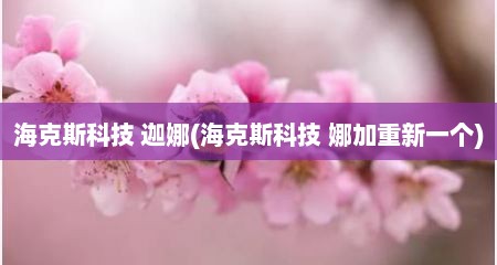 海克斯科技 迦娜(海克斯科技 娜加重新一个)