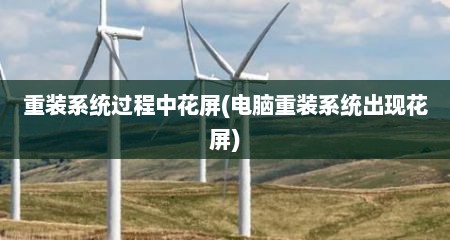 重装系统过程中花屏(电脑重装系统出现花屏)