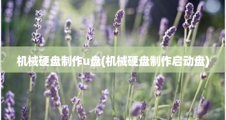 机械硬盘制作u盘(机械硬盘制作启动盘)