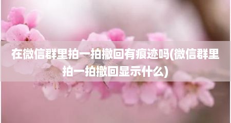 在微信群里拍一拍撤回有痕迹吗(微信群里拍一拍撤回显示什么)