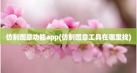 仿制图章功能app(仿制图章工具在哪里找)