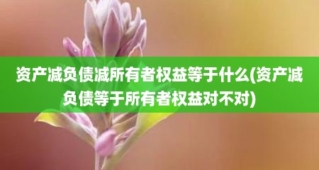 资产减负债减所有者权益等于什么(资产减负债等于所有者权益对不对)