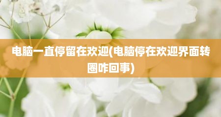 电脑一直停留在欢迎(电脑停在欢迎界面转圈咋回事)
