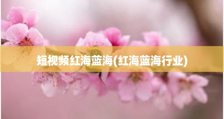 短视频红海蓝海(红海蓝海行业)