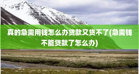 真的急需用钱怎么办贷款又贷不了(急需钱不能贷款了怎么办)