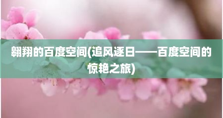 翱翔的百度空间(追风逐日——百度空间的惊艳之旅)